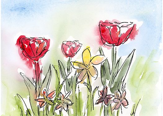 After the Rain Greeting Card