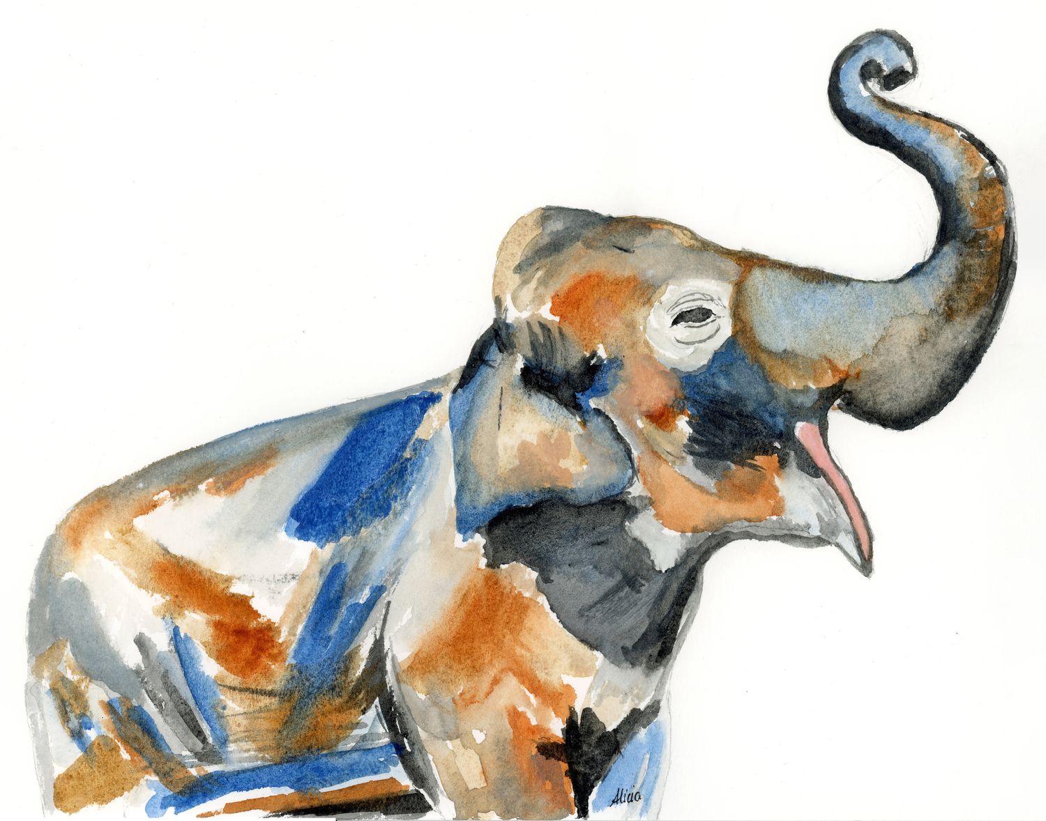 Mr. Elephanté