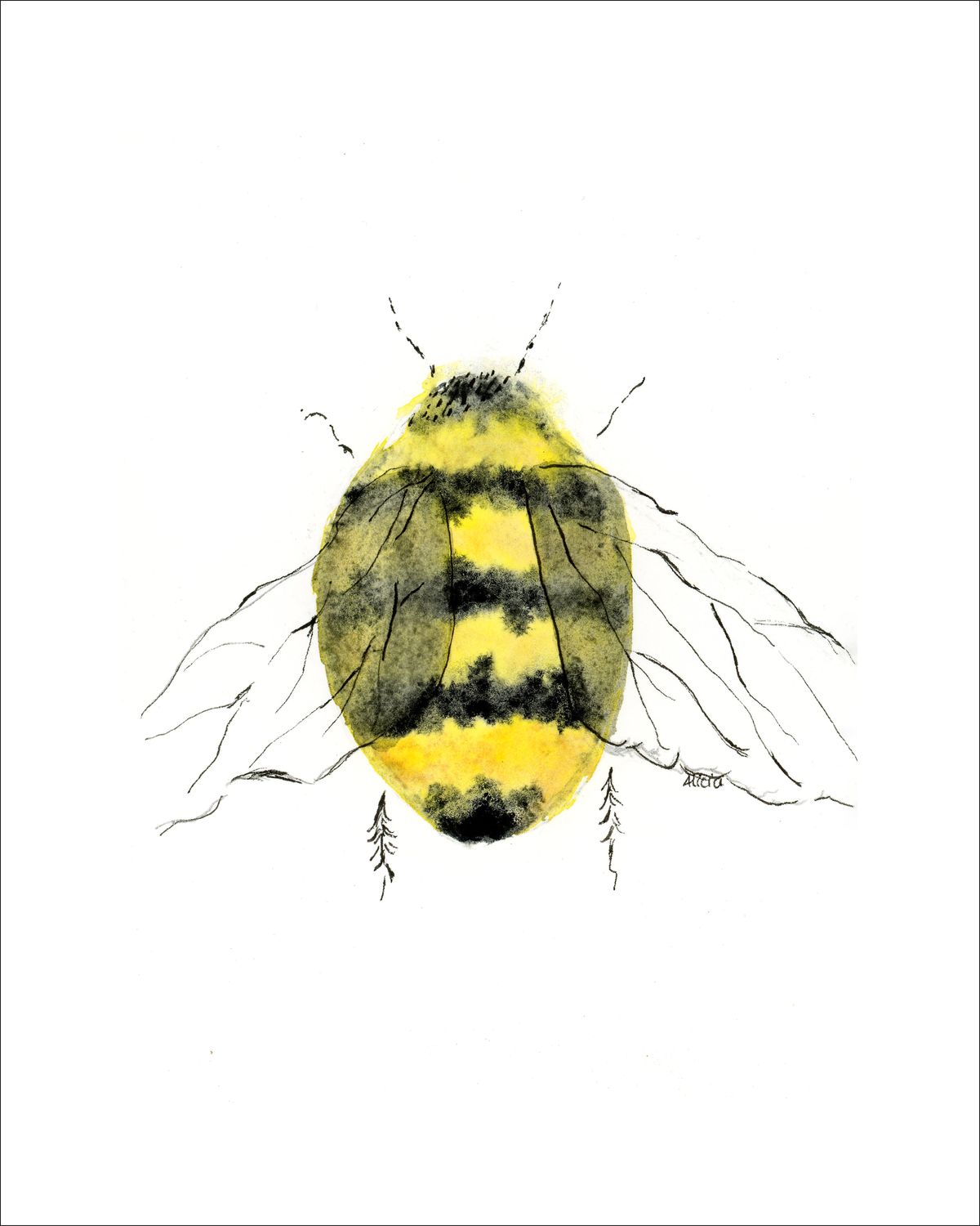Bee