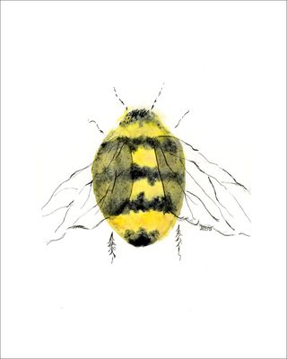 Bee