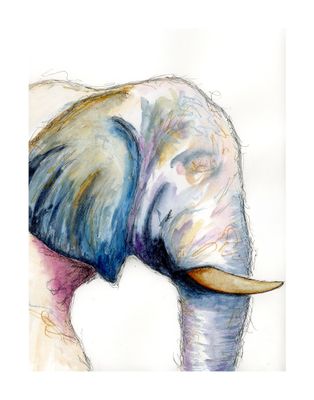 Col. Hathi