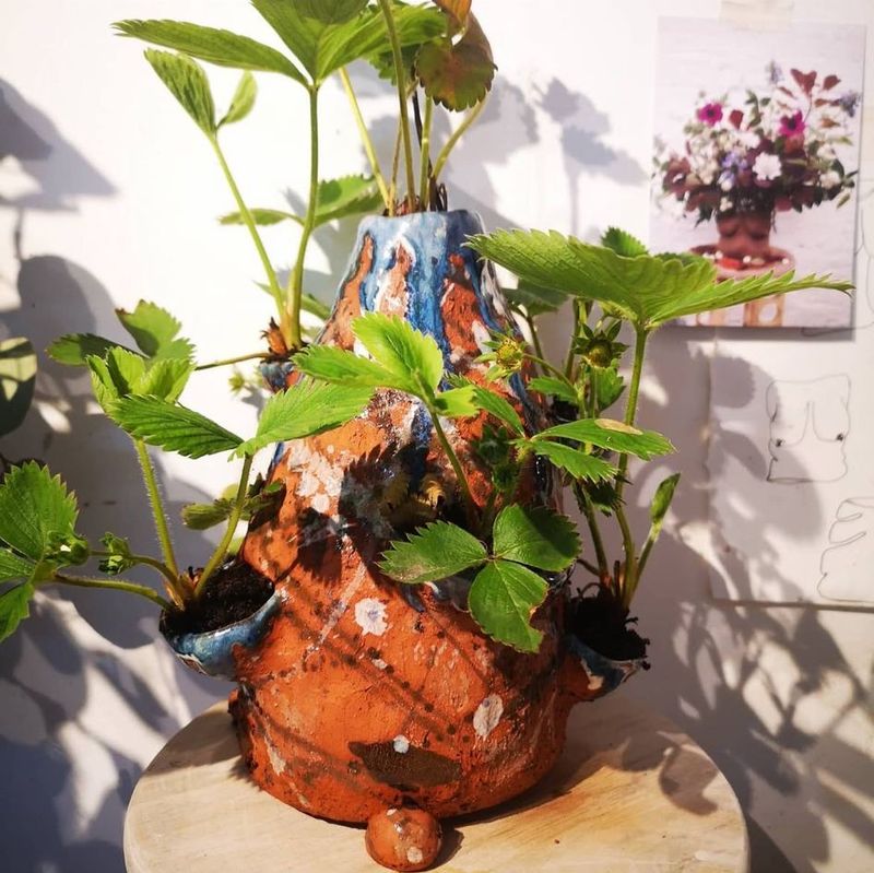 Green Fingers Workshop 21st May