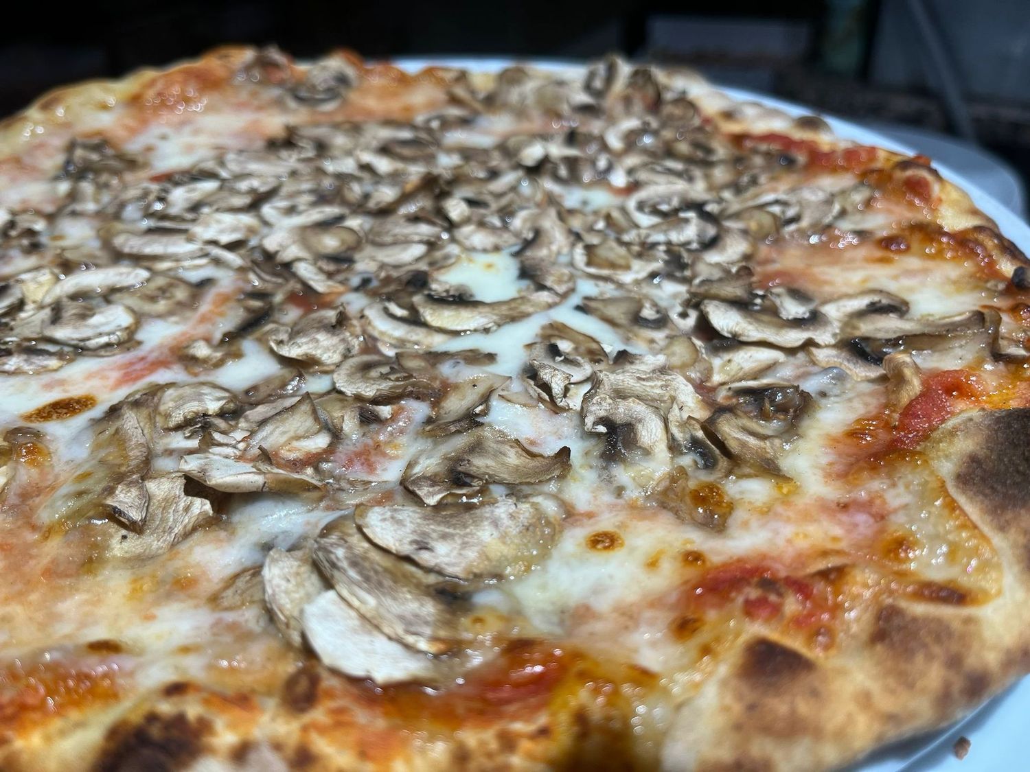 FUNGHI