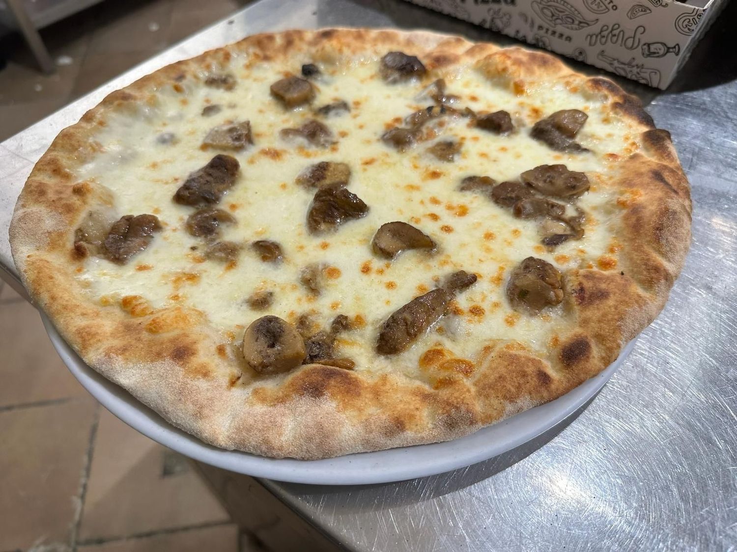 PORCINI