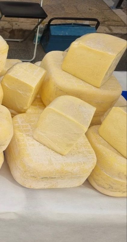 Large piece semi-cured cheese +/- 4.5 KG