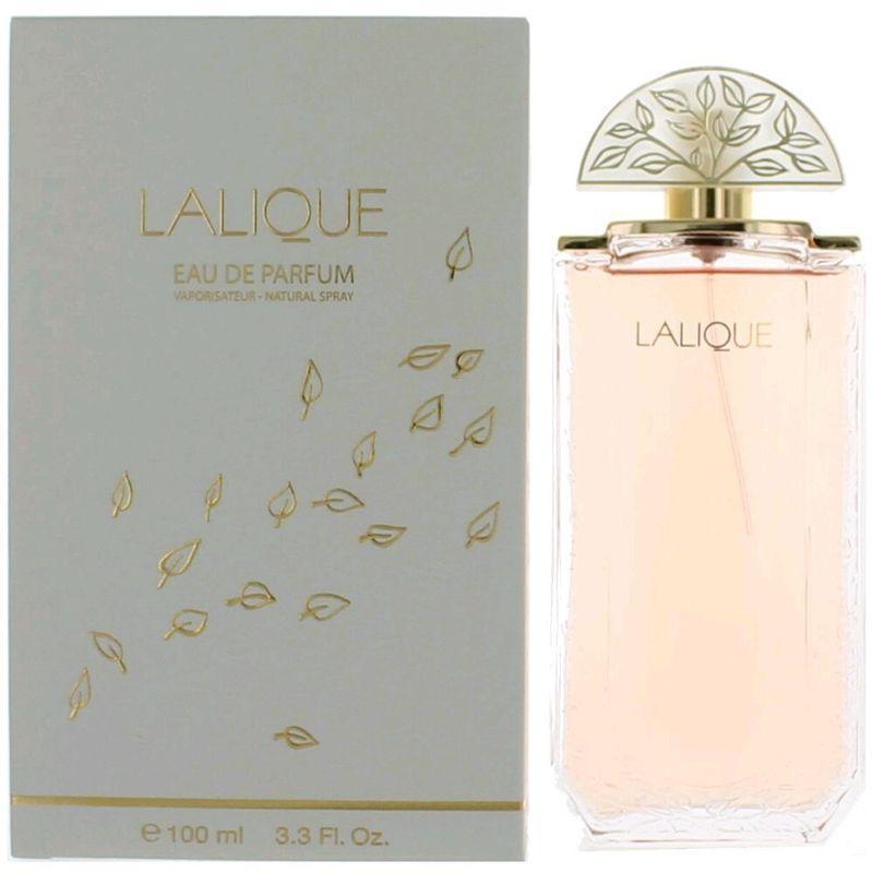 Fragrance &amp; Perfume