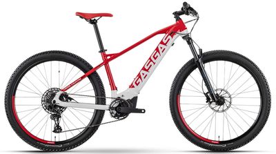 GasGas G Cross Country 3.0
