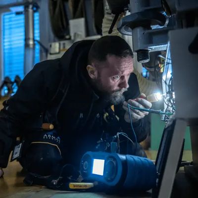Bruk av elektiker