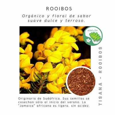 Rooibos