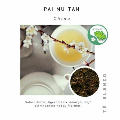 Té Blanco - Pai Mu Tan White Peony