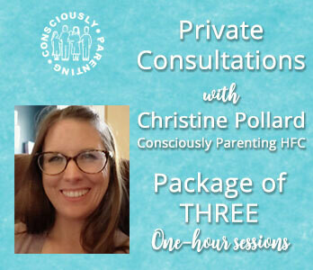 Package of Three One-Hour Consultations with Christine