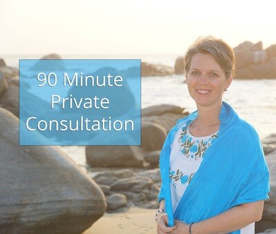 90-minute Consultation