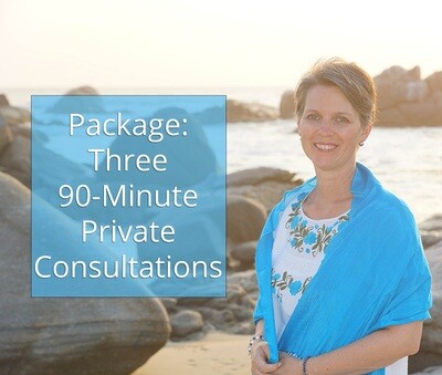Package- Three Ninety-Minute Consultations