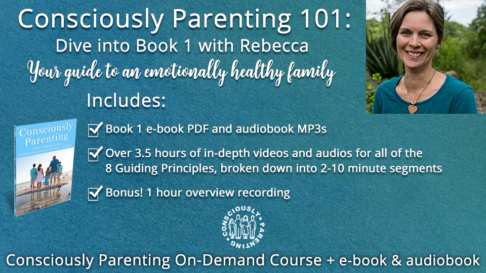 Consciously Parenting 101: What it Really Takes to Raise Emotionally Healthy Families (pay what you can)