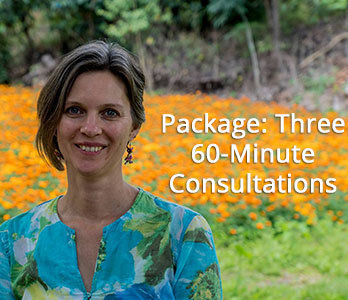 Package- Three One-Hour Consultations Package- Three One-Hour Consultations