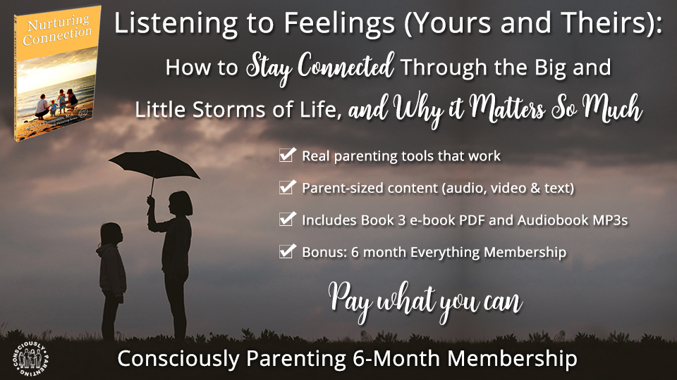 Listening to Feelings: Pay-what-you-can 6-month Support Course