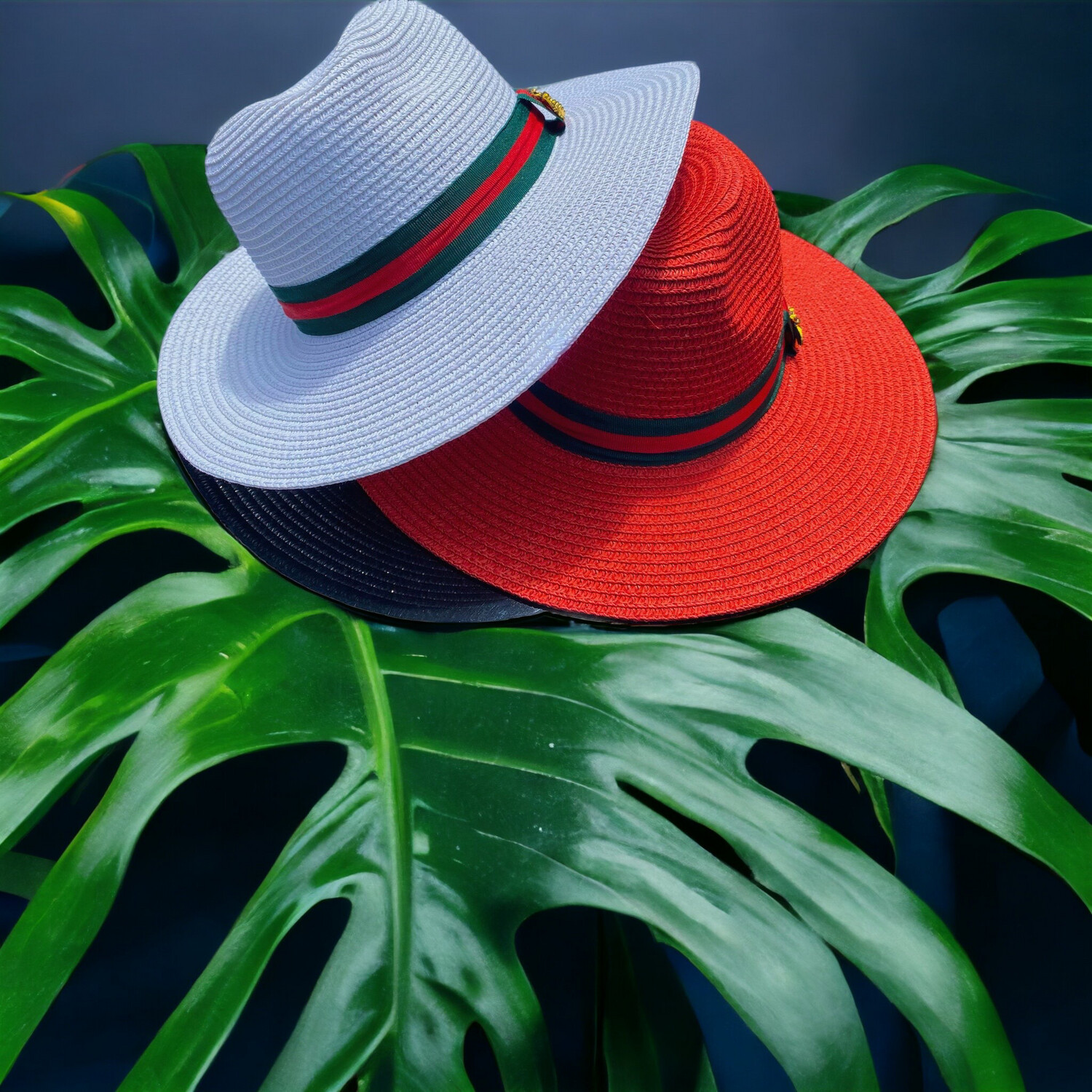 Designer Age Fedora