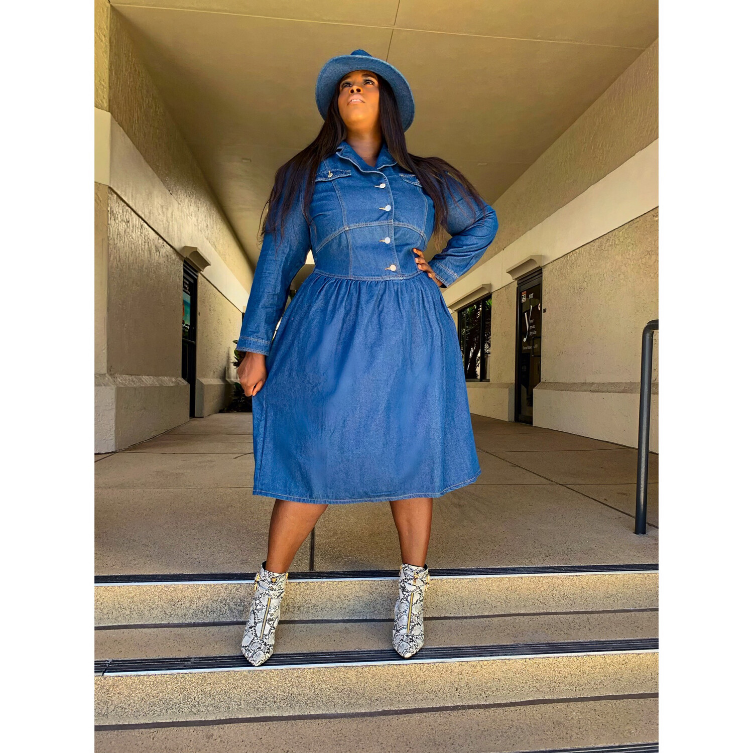 Nadia Denim Dress