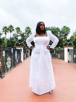 White Winter Gown