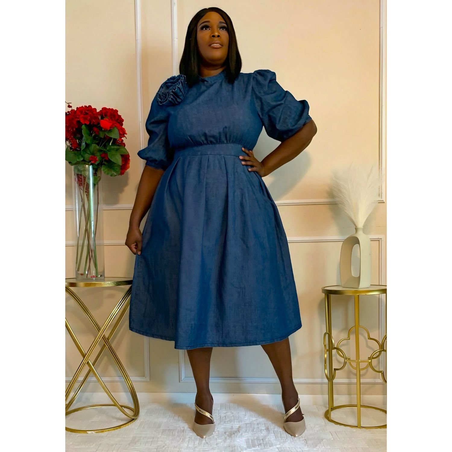 Shalom Denim Dress