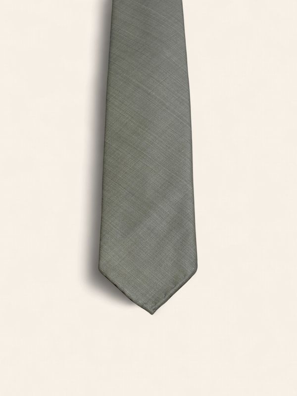 Paolo Albizzati Silk Tie – Liver Grey