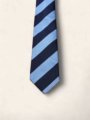 Paolo Albizzati Silk Stripe Tie / Das – Light Blue &amp; Navy