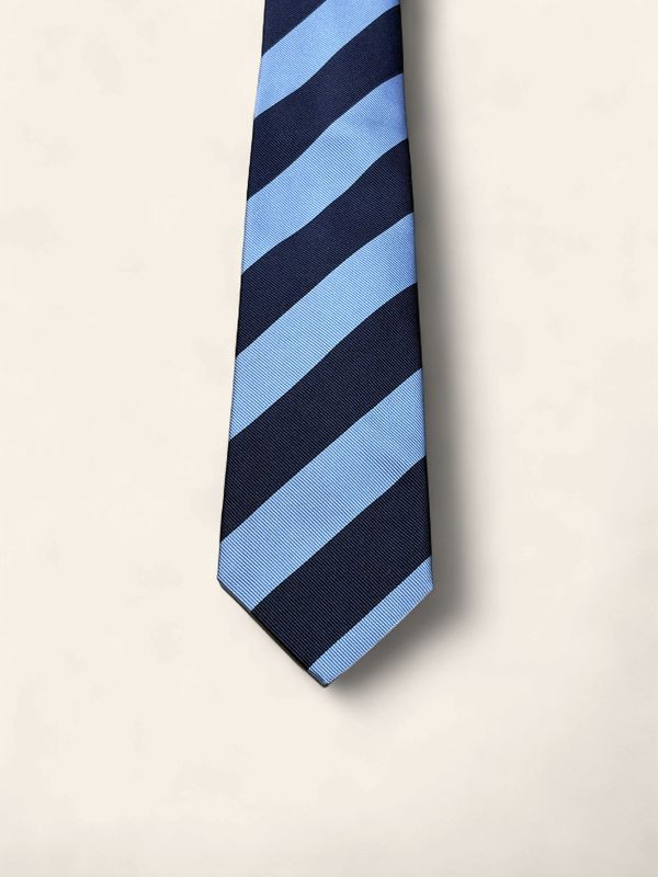Paolo Albizzati Silk Stripe Tie / Das – Light Blue &amp; Navy