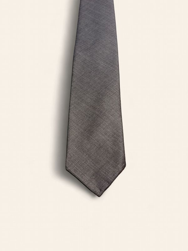 Paolo Albizzati Silk Tie / Das – Grey
