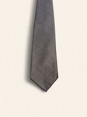 Paolo Albizzati Silk Tie / Das – Grey