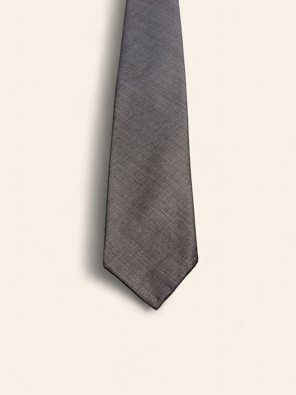 Paolo Albizzati Silk Tie / Das – Grey