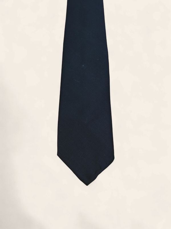 Paolo Albizzati Silk Tie / Das – Navy