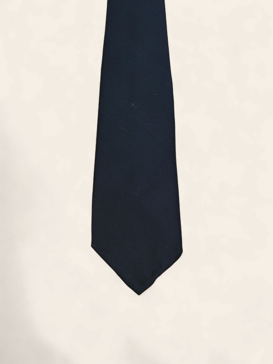 Paolo Albizzati Silk Tie / Das – Navy