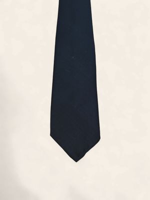 Paolo Albizzati Silk Tie / Das – Navy