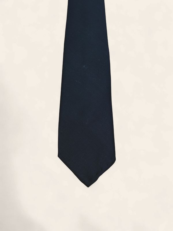 Paolo Albizzati Silk Tie / Das – Navy