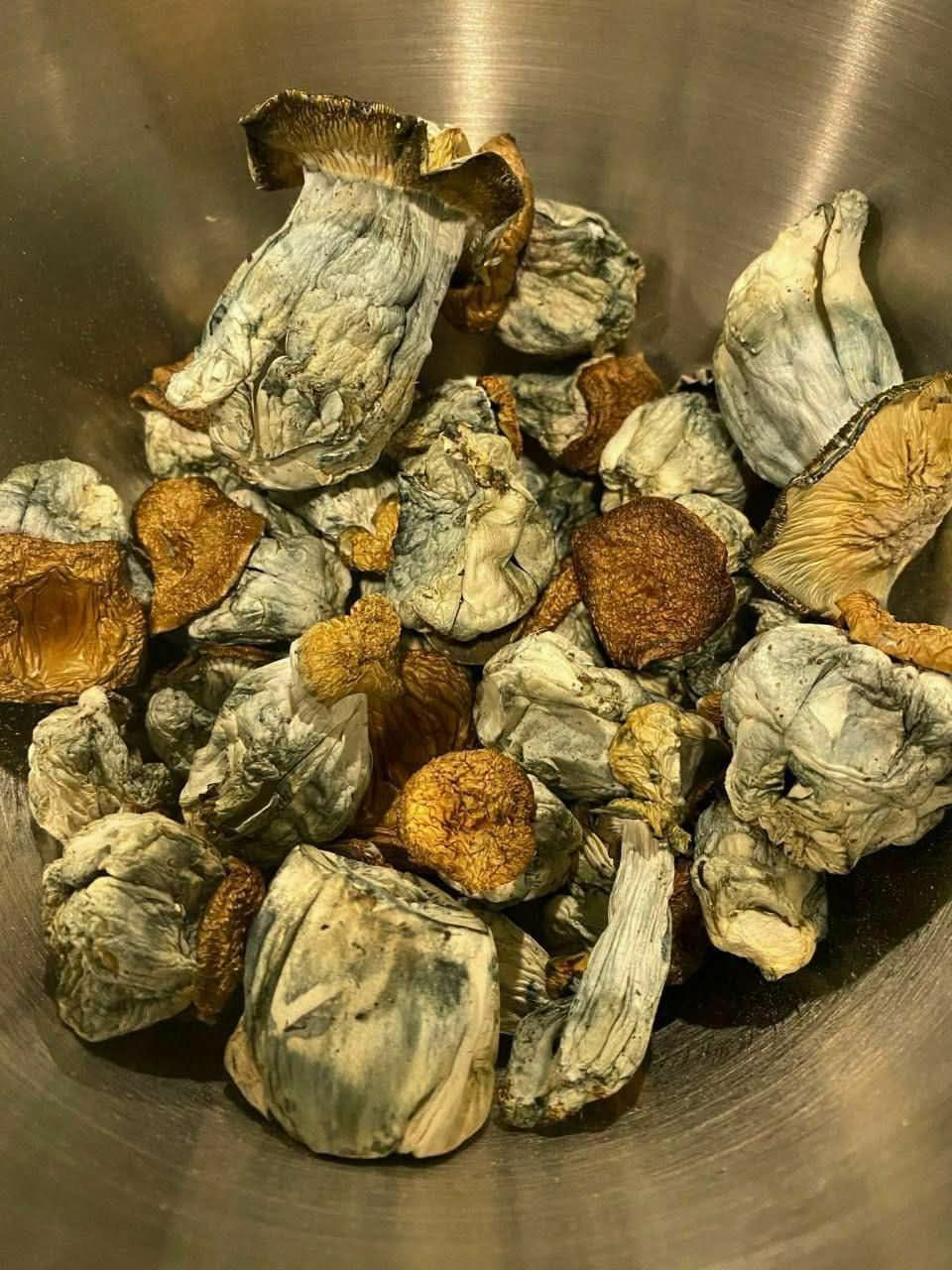 MAGIC MUSHROOM  ⭐️⭐️⭐️⭐️⭐️