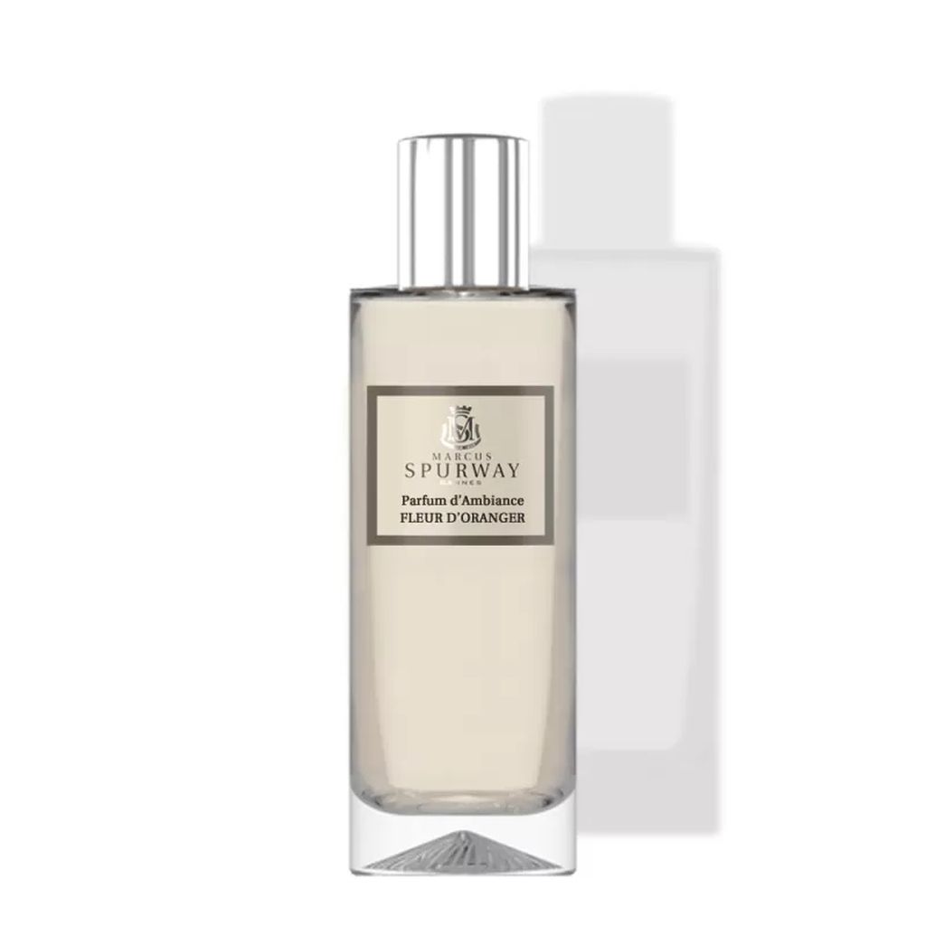 Fleur d&#39;Eau Marcus Spurway Raumparfum 100 ml