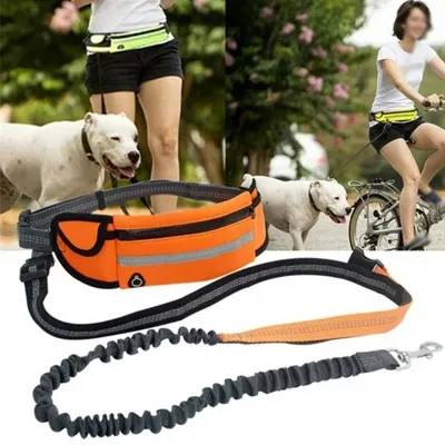 Hands Free Dog Leash with Zipper Pouch Reflective Bungee