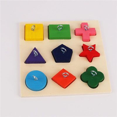 9-Piece Colorful Wooden Block Parrot Training Toy