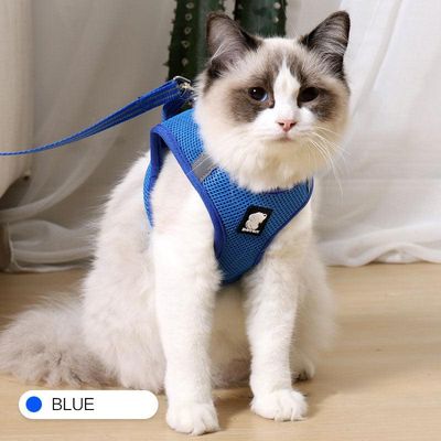The Wanderlust Cat Adventure Harness