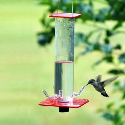 The Enchanting Nectar Haven - Hanging Cylindrical Hummingbird Feeder