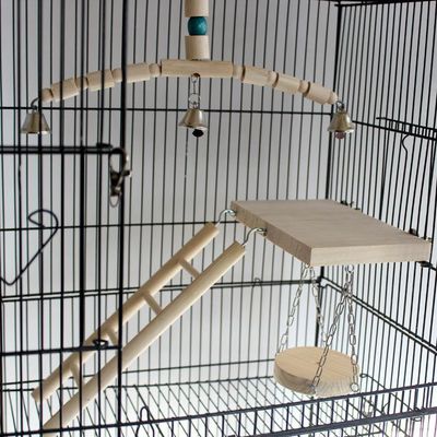 Wooden Jungle Gym Interactive Bird Toy