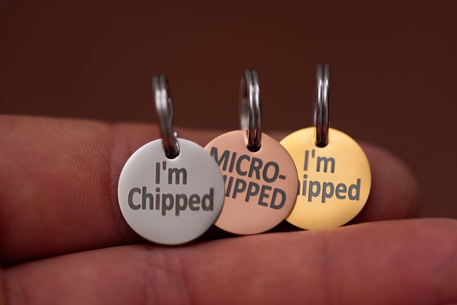 Stainless Steel &quot;MICROCHIPPED&quot; and &quot;I&#39;m Chipped&quot; tags