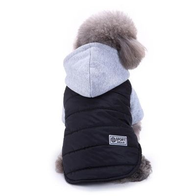 Cozy Paws: Autumn And Winter Pet Sweater