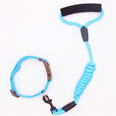 Premium Adjustable Pet Leash And Collar Set