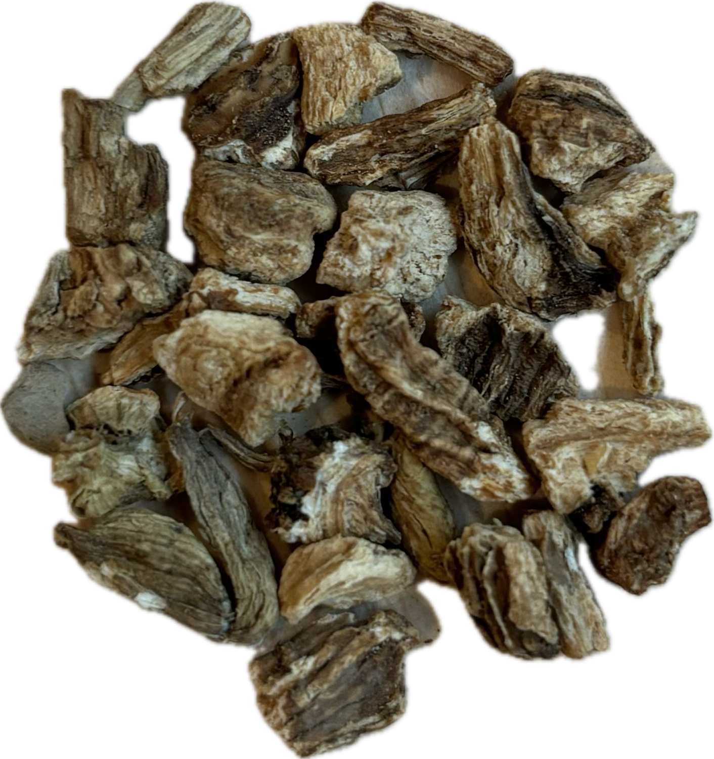 Angelica Root (Cut)