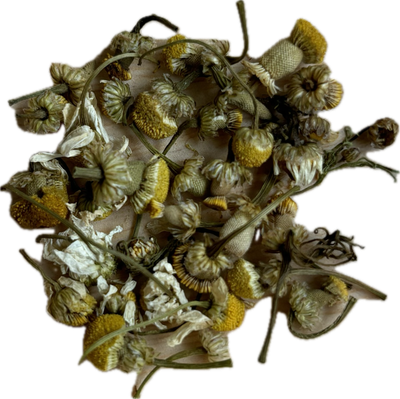Chamomile Flower (Whole)