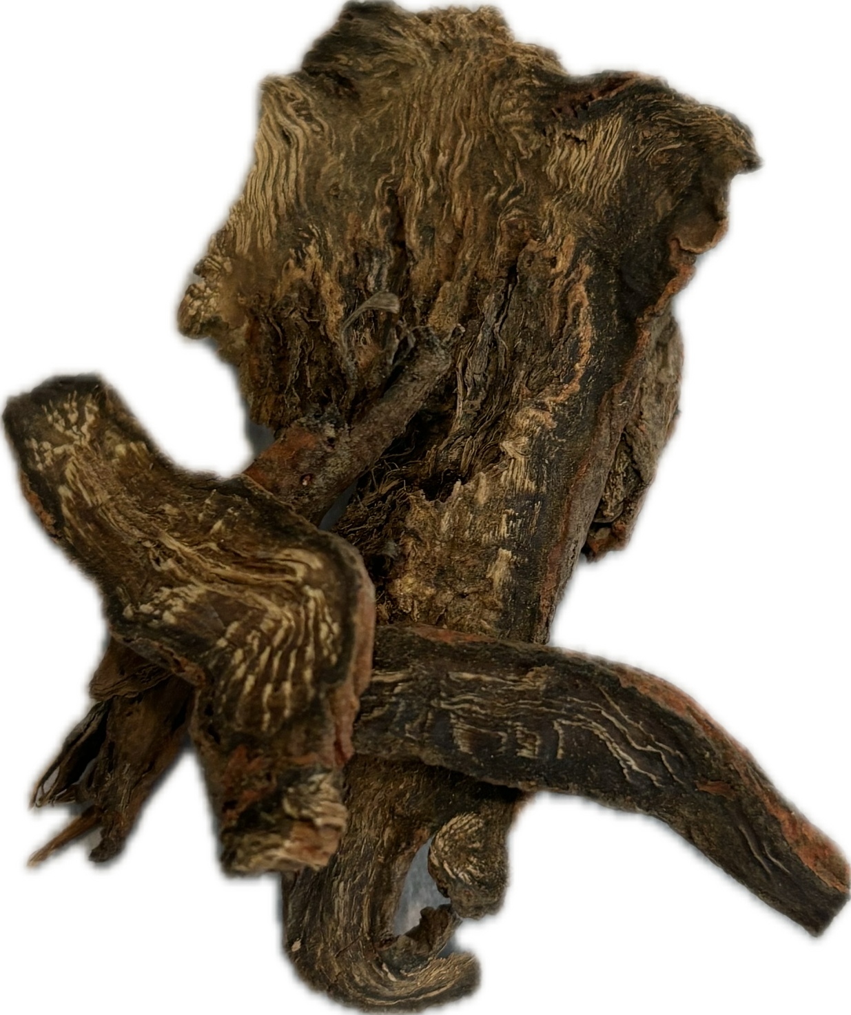 Red Sage Root (Whole)