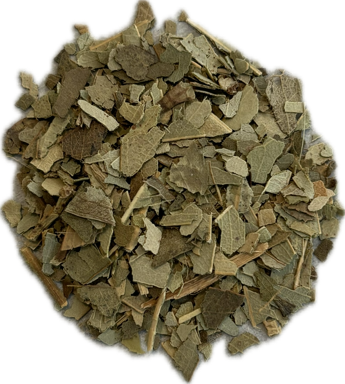 Eucalyptus Leaves (Cut)