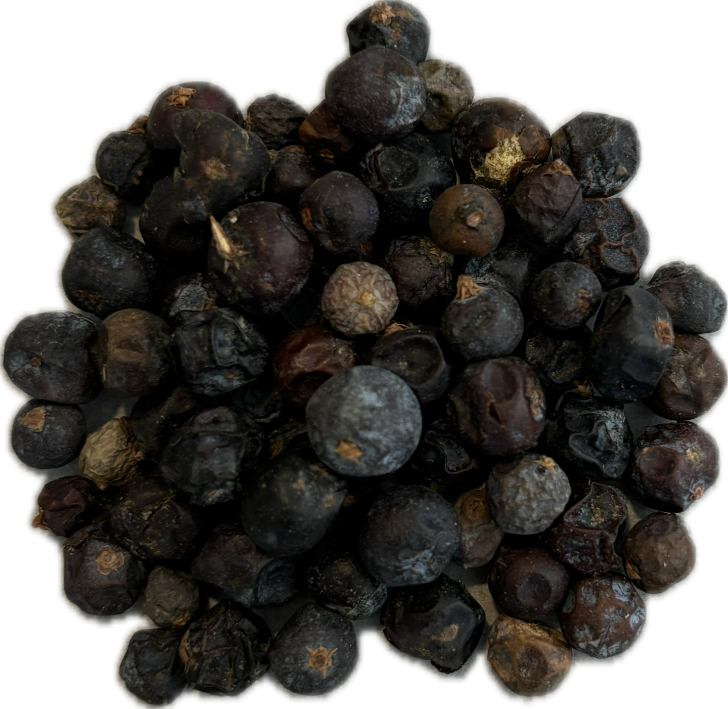 Juniper Berry (Whole)