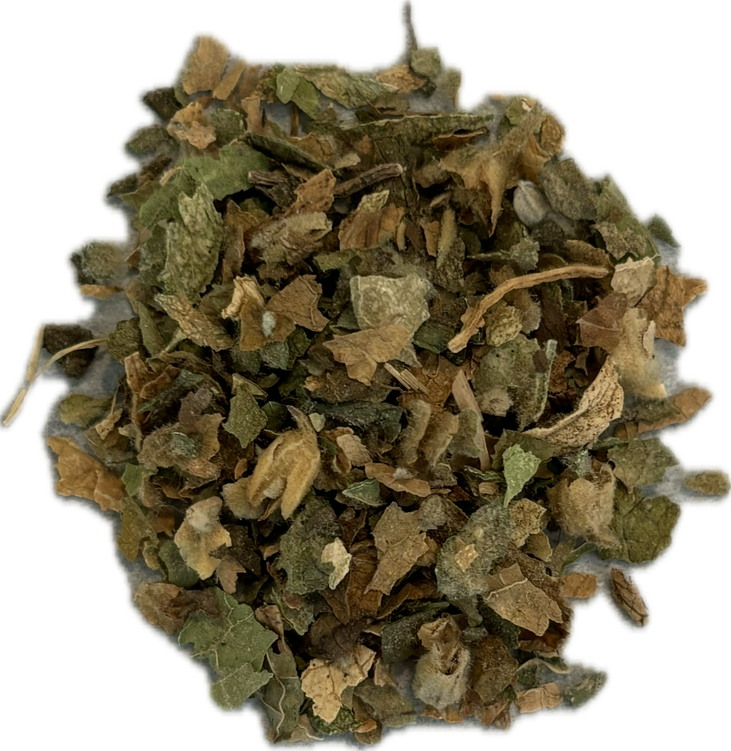 Mullein Leaves (Cut)